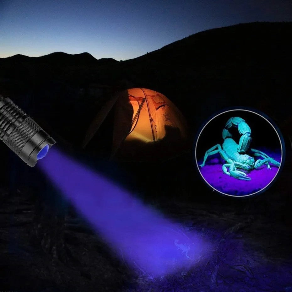 UV Flashlight